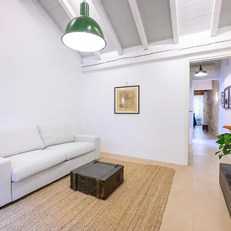 Apartment Skylight Duplex In Historic Center