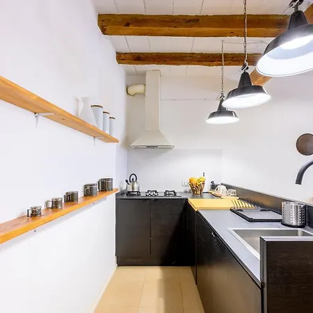 Skylight Duplex In Historic Center Apartment Parma