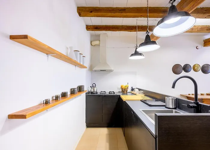 Skylight Duplex In Historic Center Apartment Parma